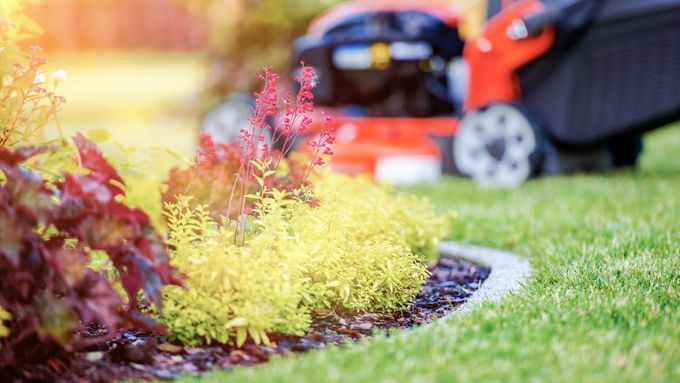 Lawn_Care_iStock_564597438