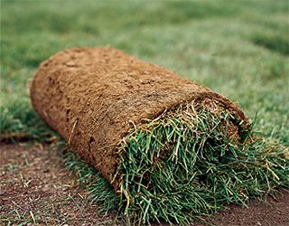 How To Lay Sod