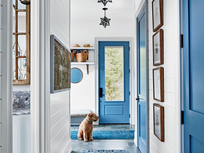 paint_doors