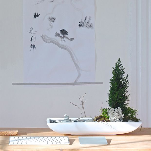 A DIY Guide to Crafting an Indoor Zen Garden