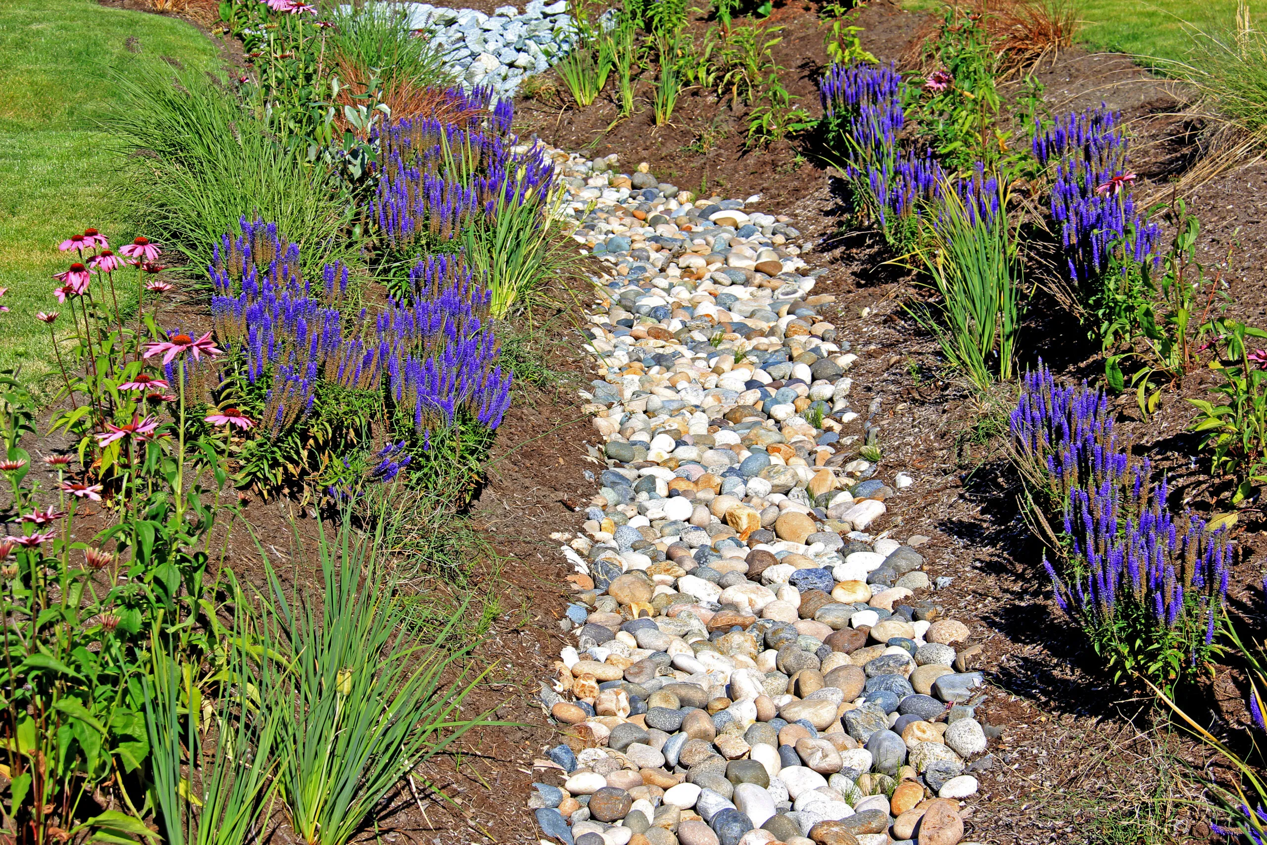 How To Install a French Drain