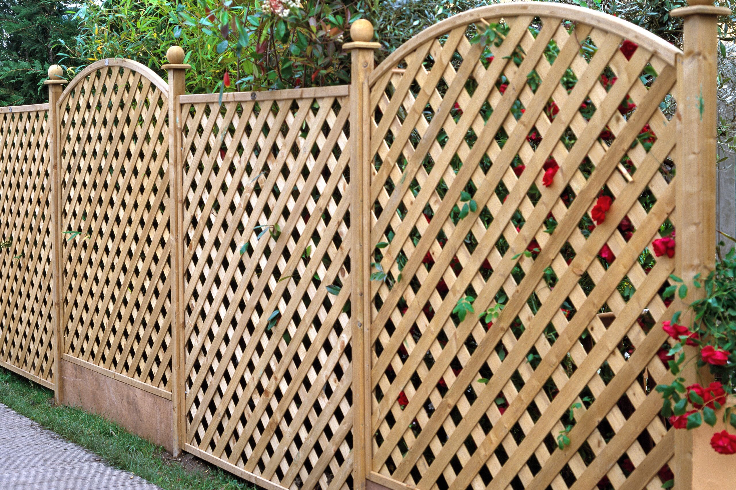 8 Types of Wood Fences