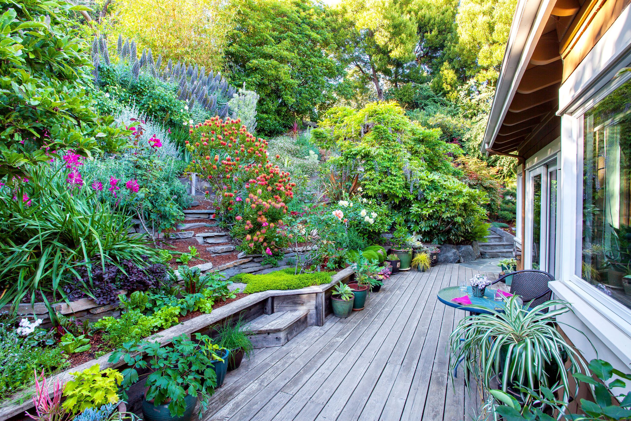 Beautiful Hillside Garden