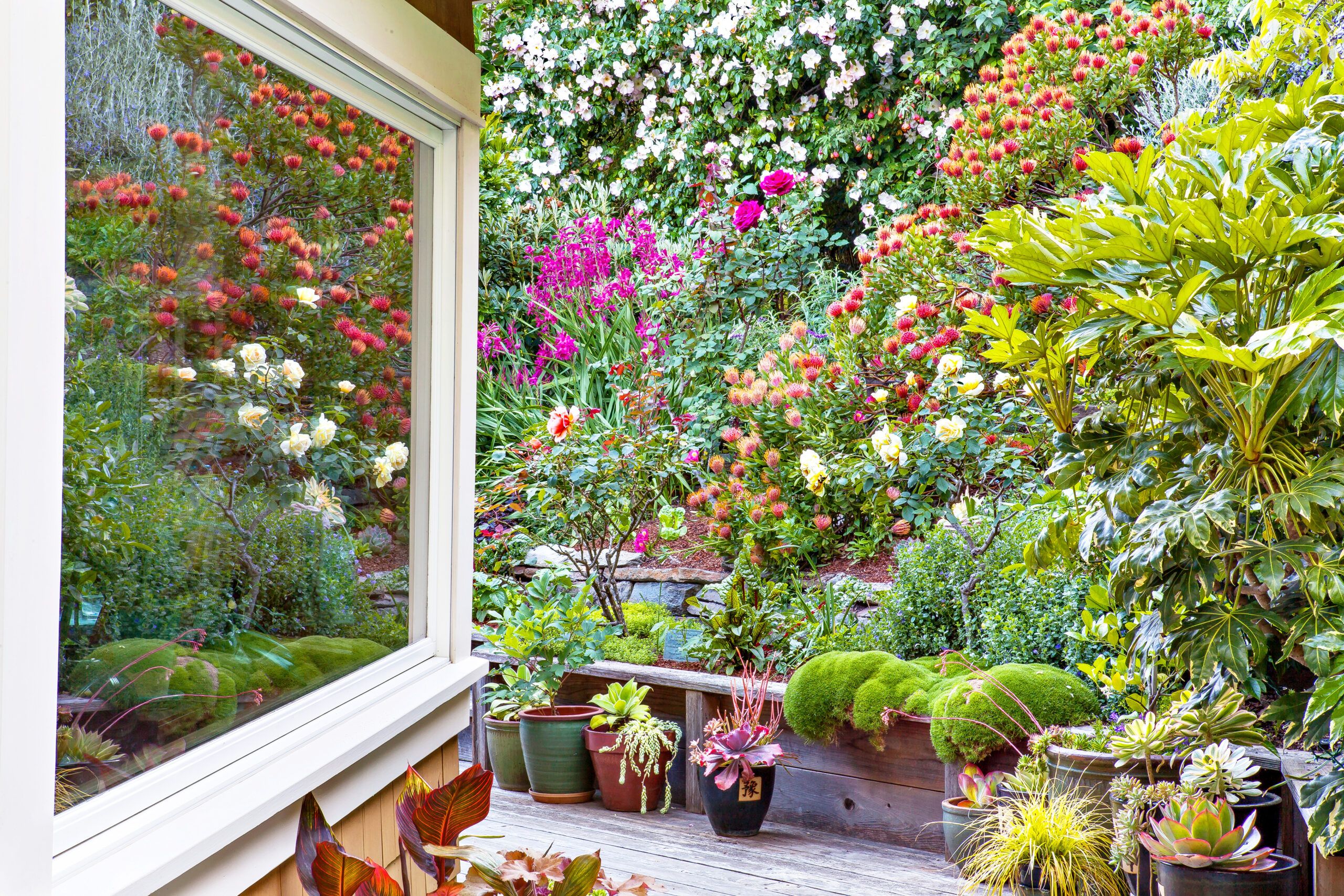 A Hillside Garden Makeover in California - This Old House