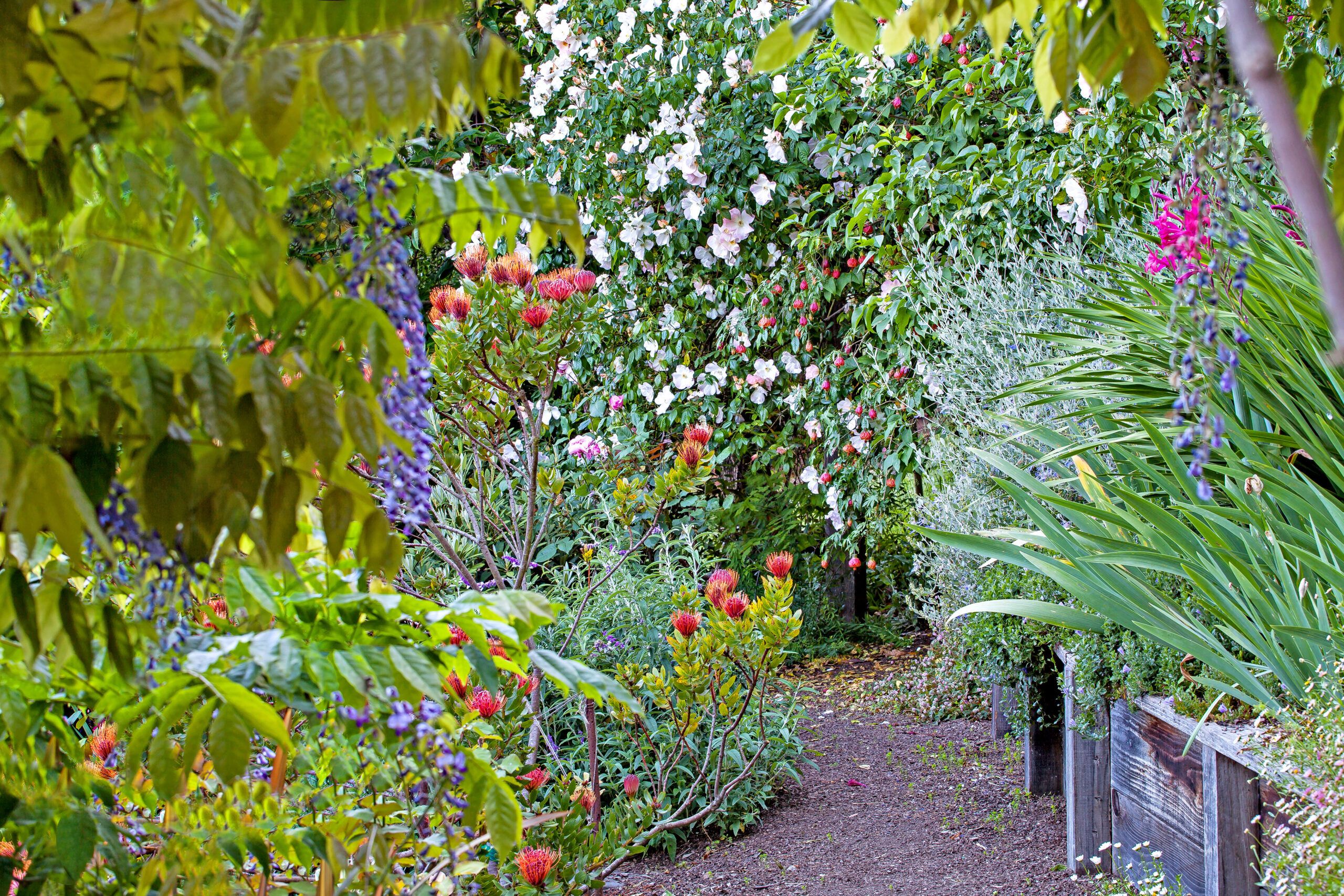 A Hillside Garden Makeover in California - This Old House