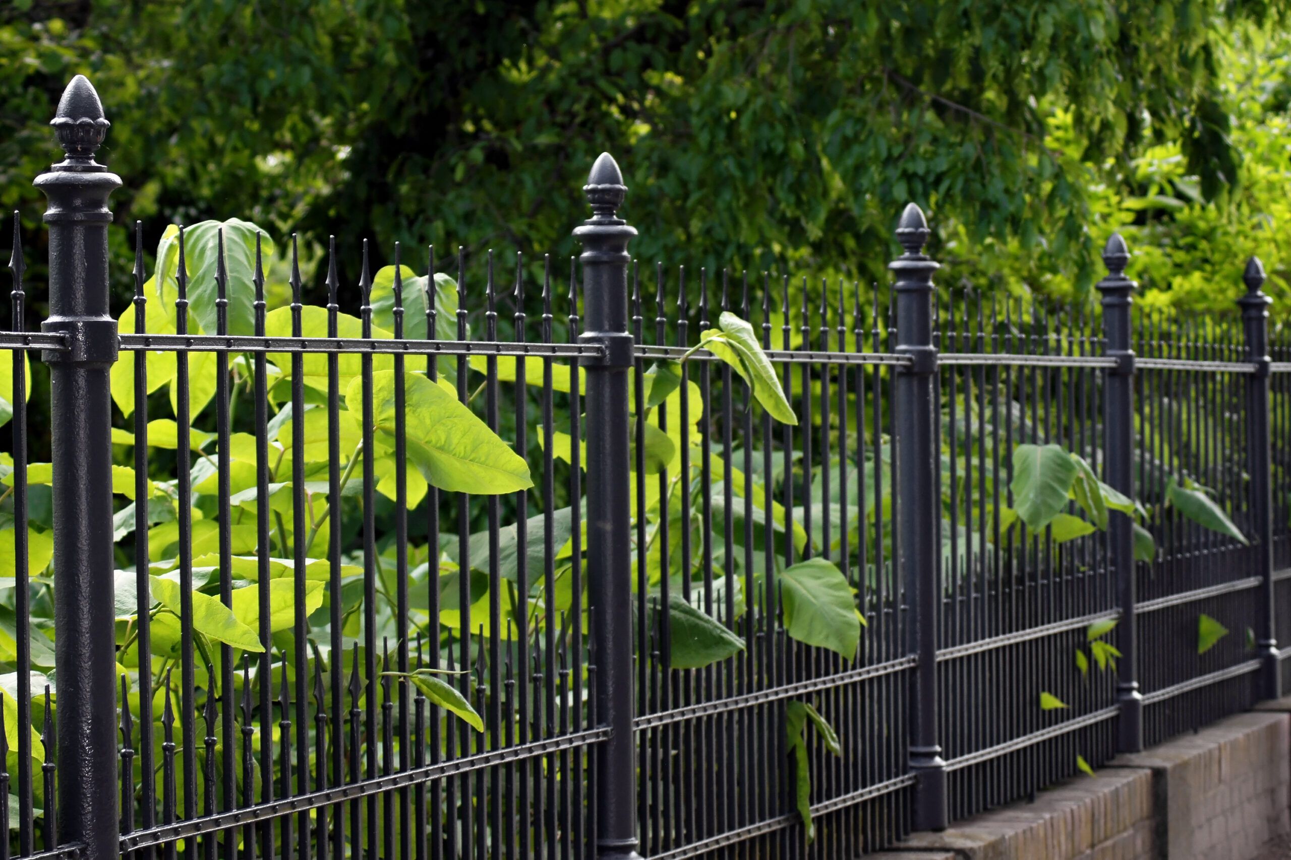 A wrought iron metal fence.