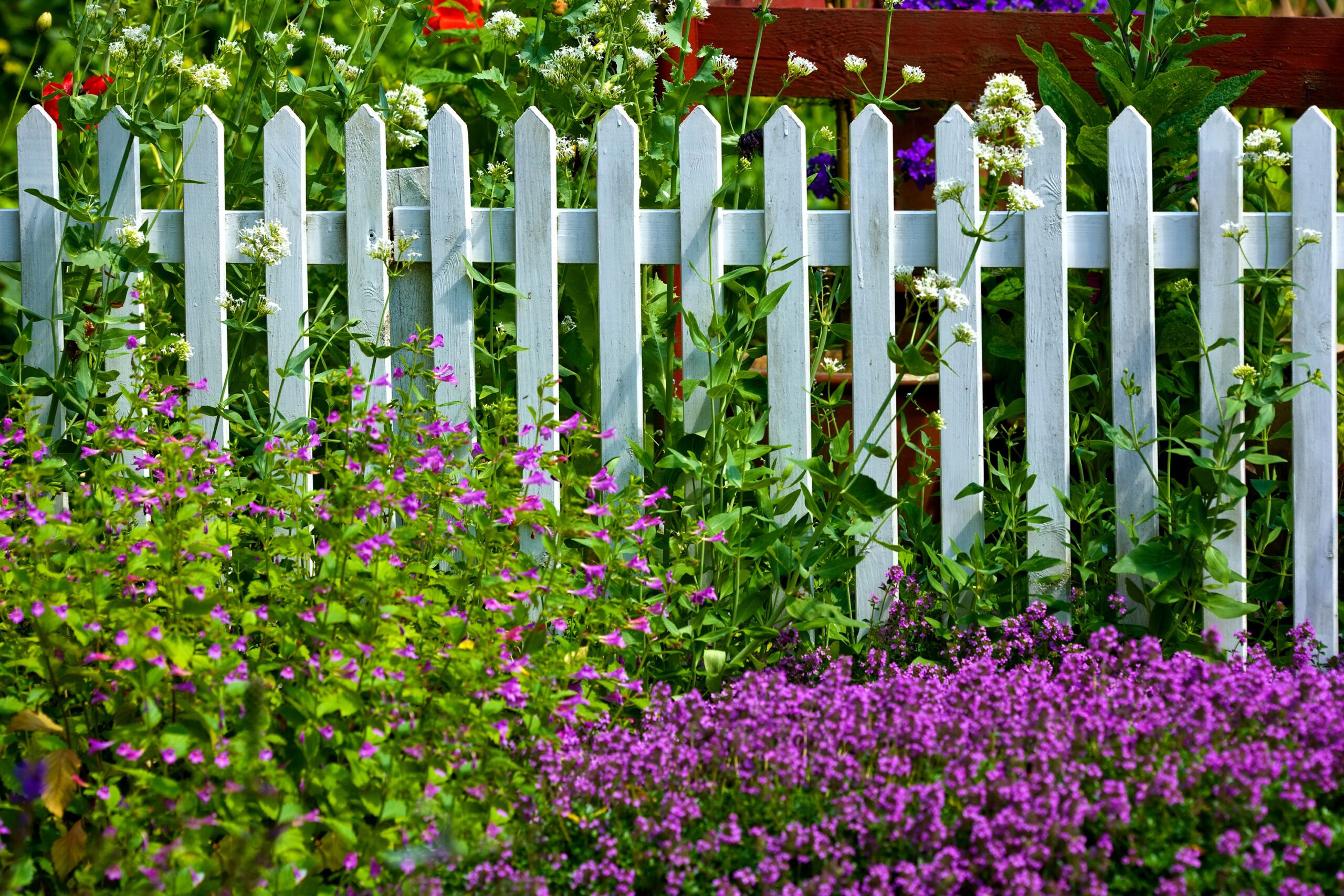 A wooden picket fence with flowers growing around it.