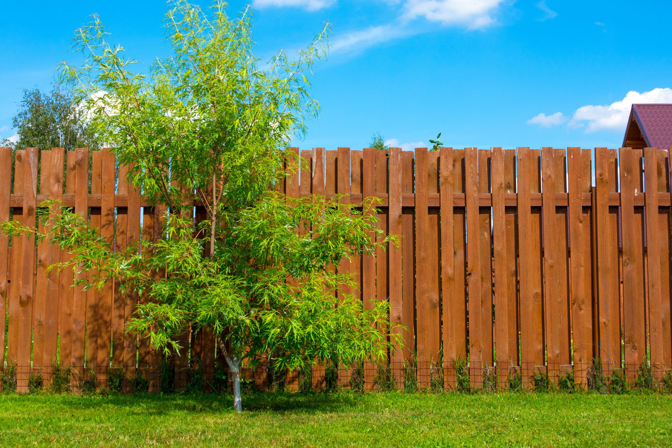 A wooden fence with vertical boards.