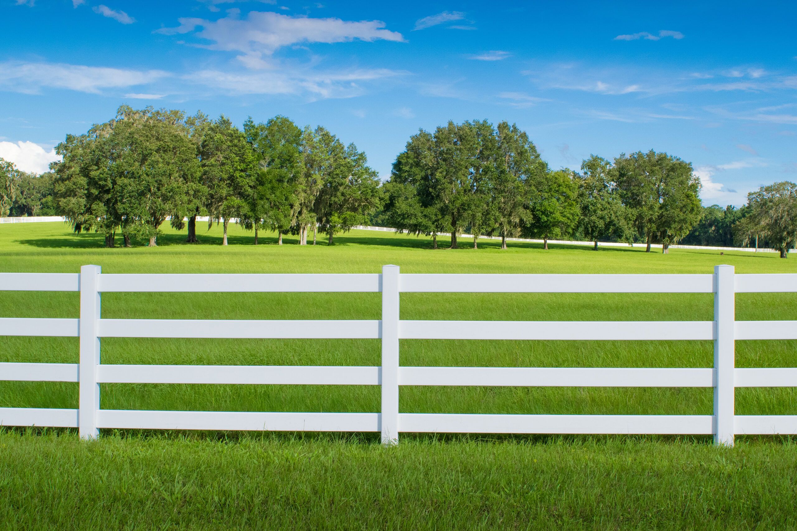 Wesley Chapel Fence Installers