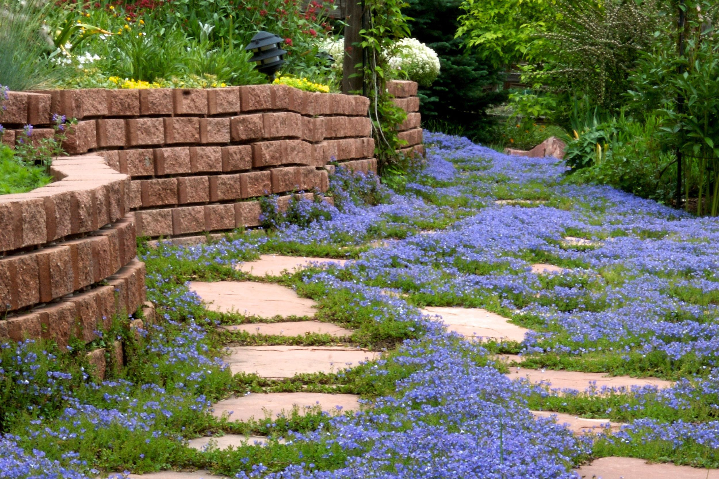 modern wood retaining wall