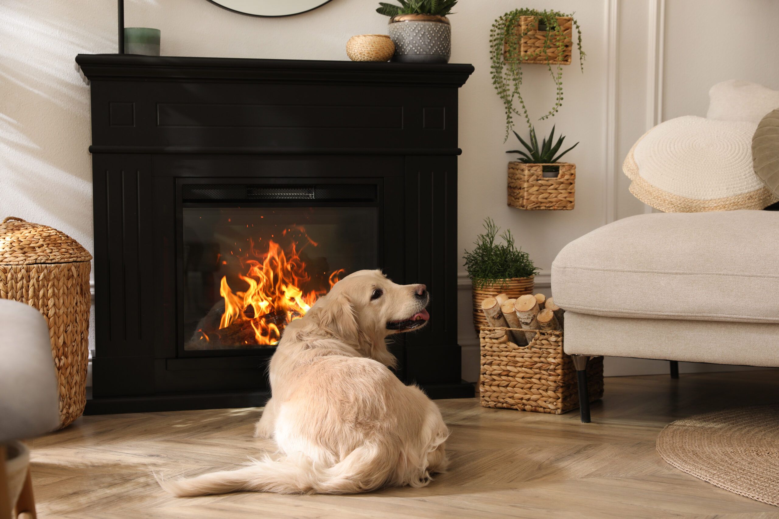 How to Baby Proof a Fireplace (Step-By-Step Guide)