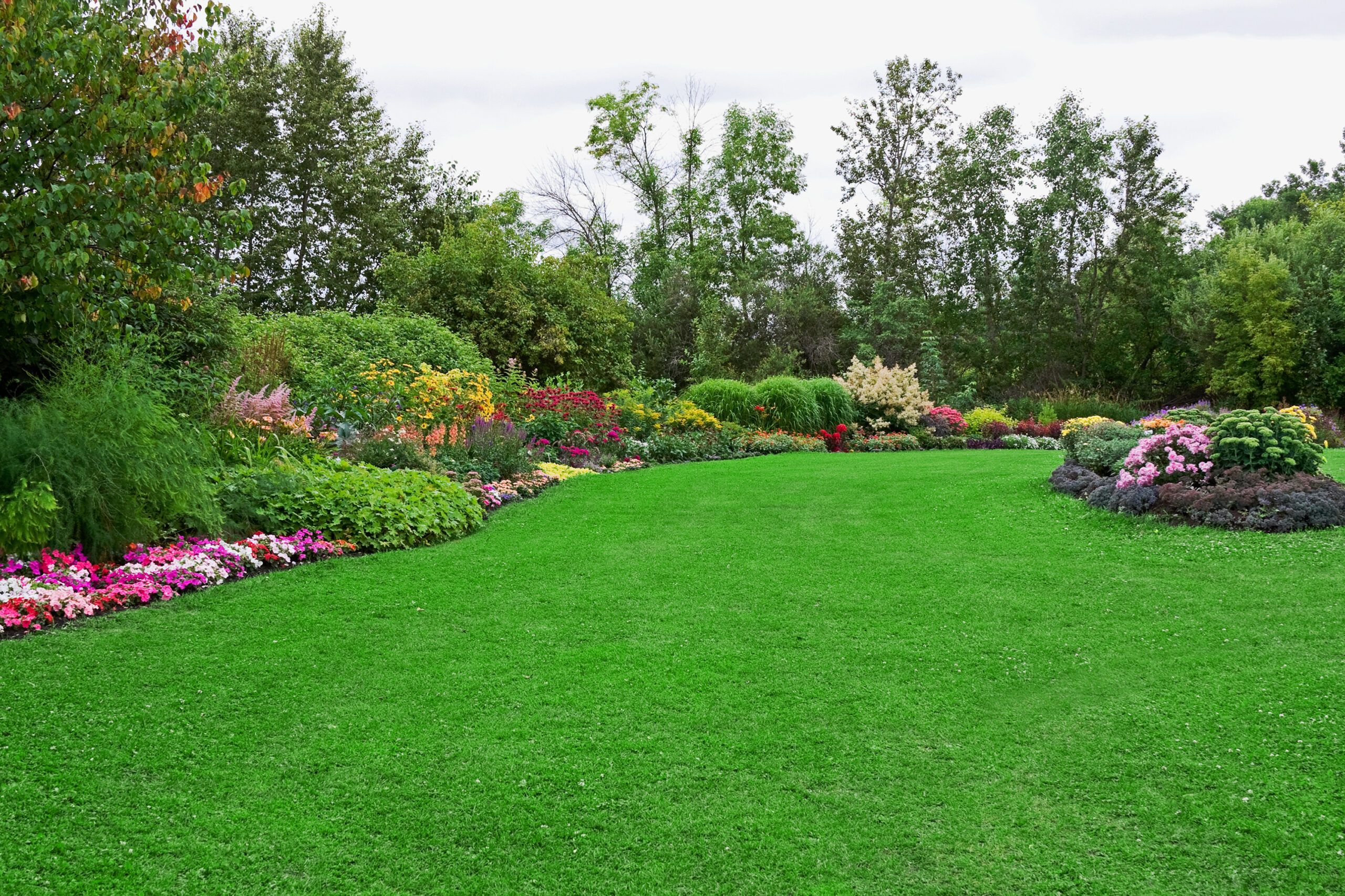 A lush yard and garden in late summer.