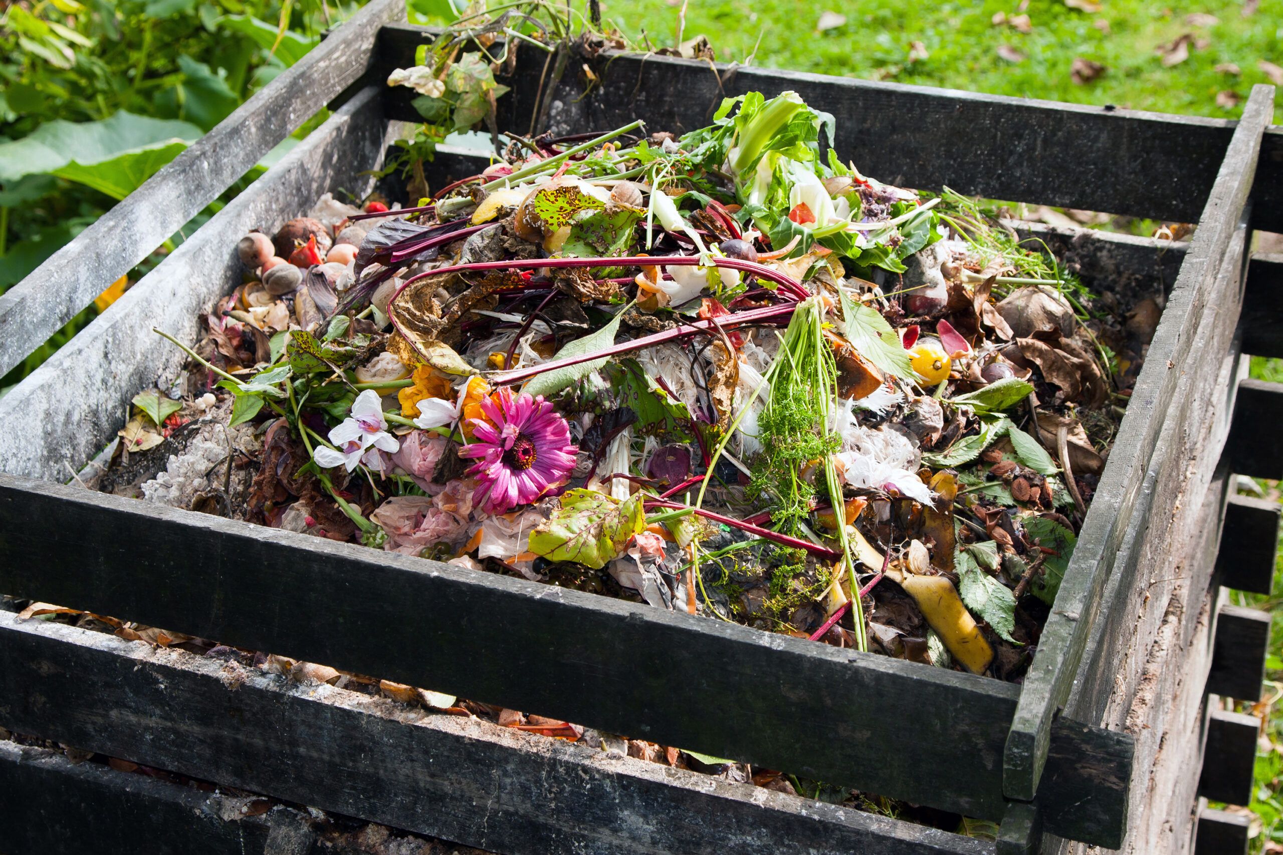 A compost pile started before summer ends.