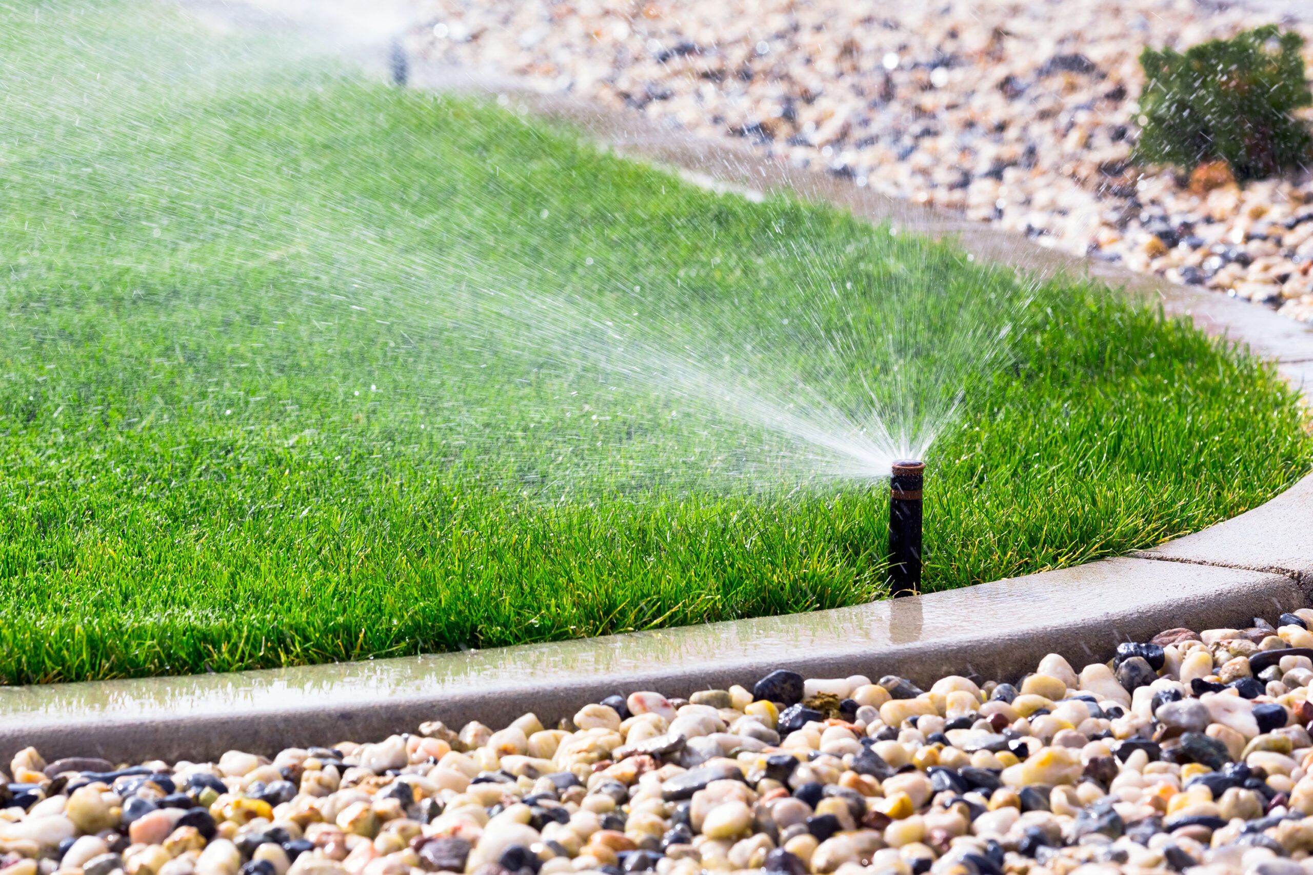 An image of a lawn and sprinkler.