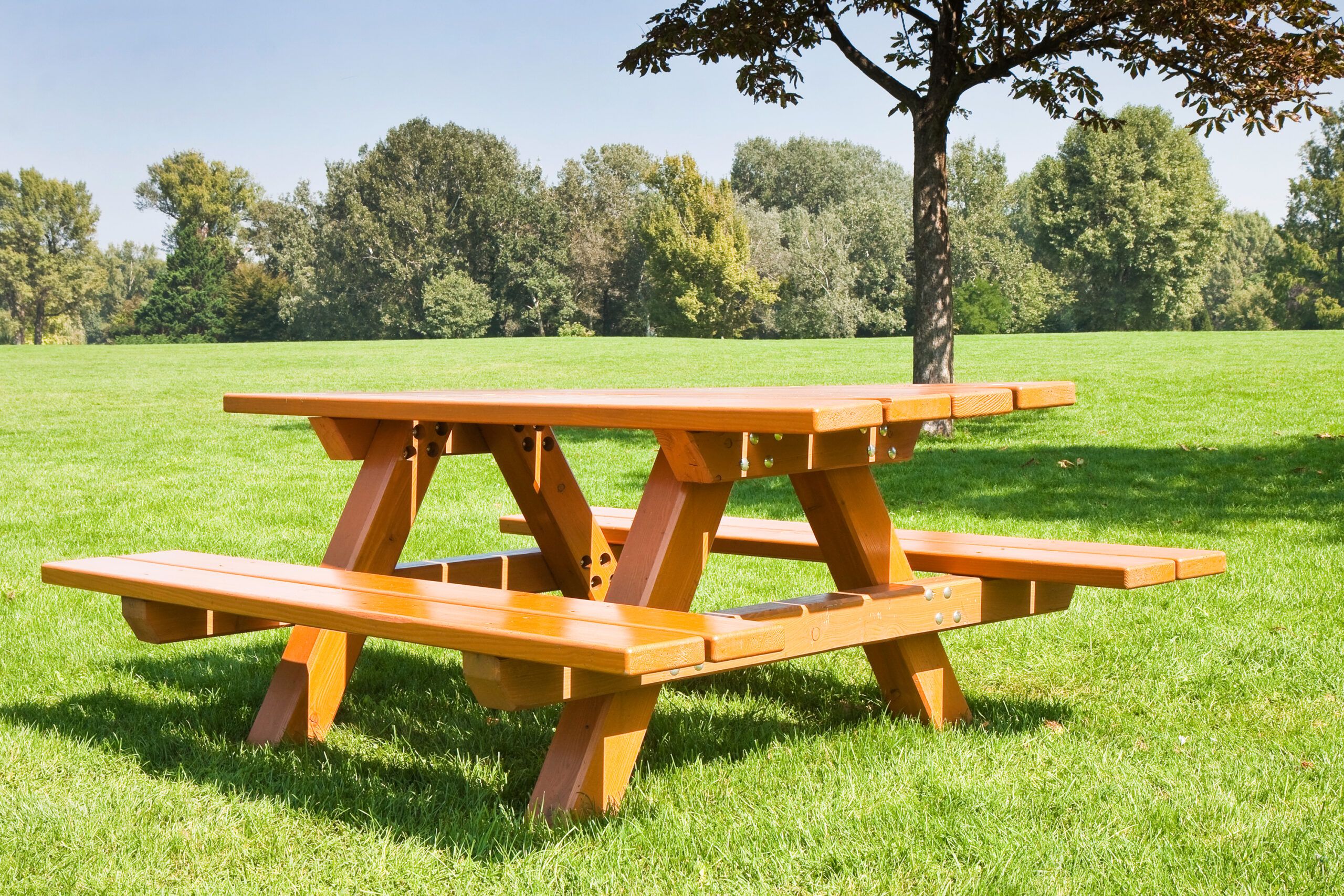 Picnic Table stock illustrations