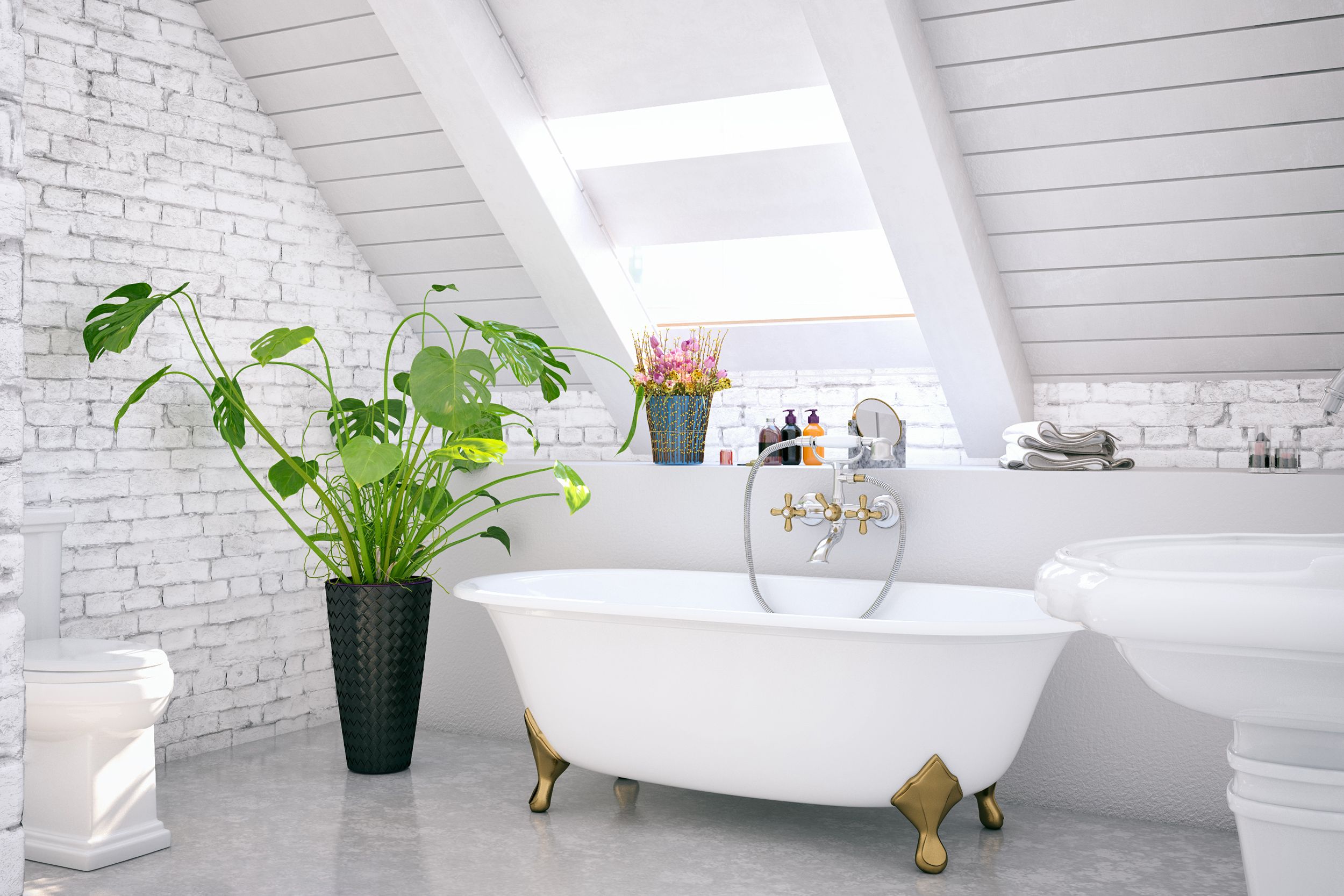 An attic bathroom a skylights.