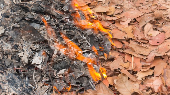 burning of leaves in a yard