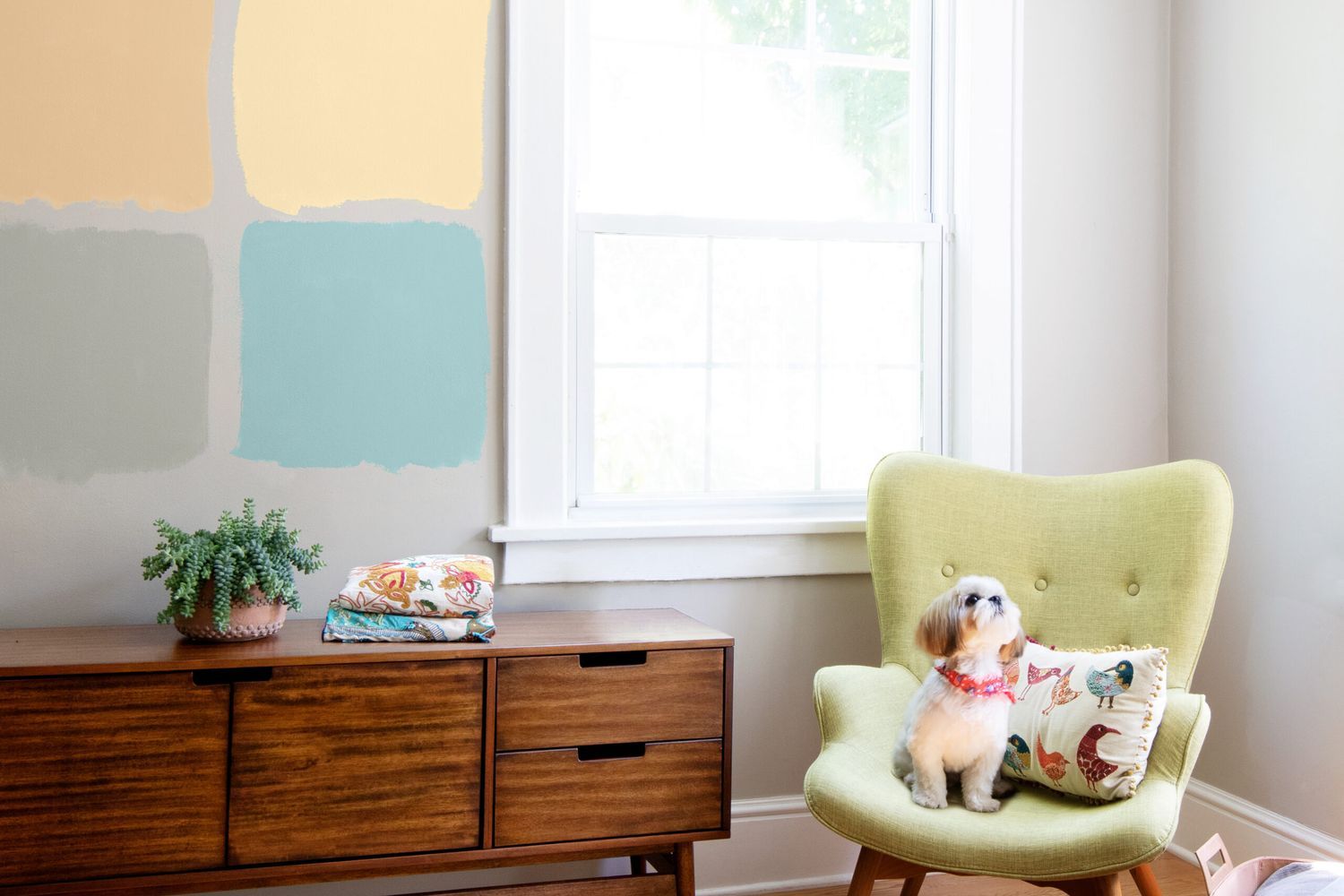 4 squares of different colored paint on a wall in a room with a window and cushioned chair.