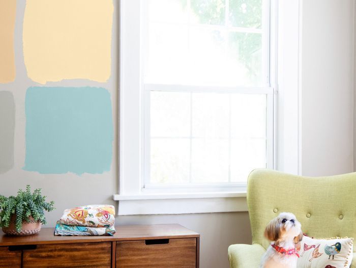 0920_RTB_Pick_A_Paint_Color_606A0369_webtout