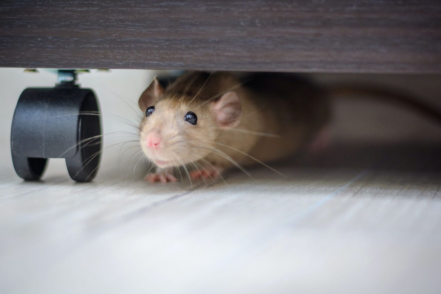 AdobeStock_243453676.0
