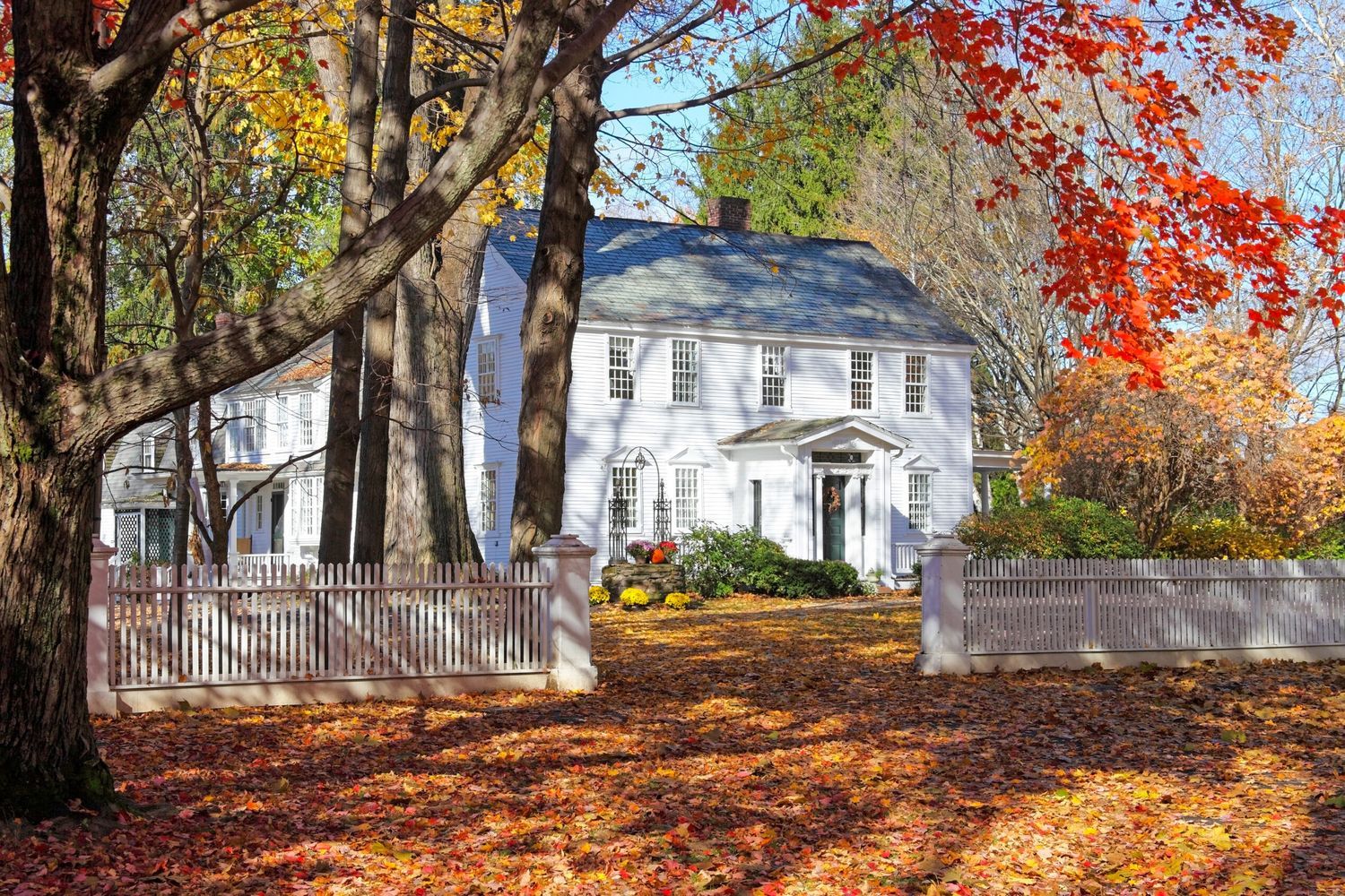 A house with a yard covered in Fall leaves.