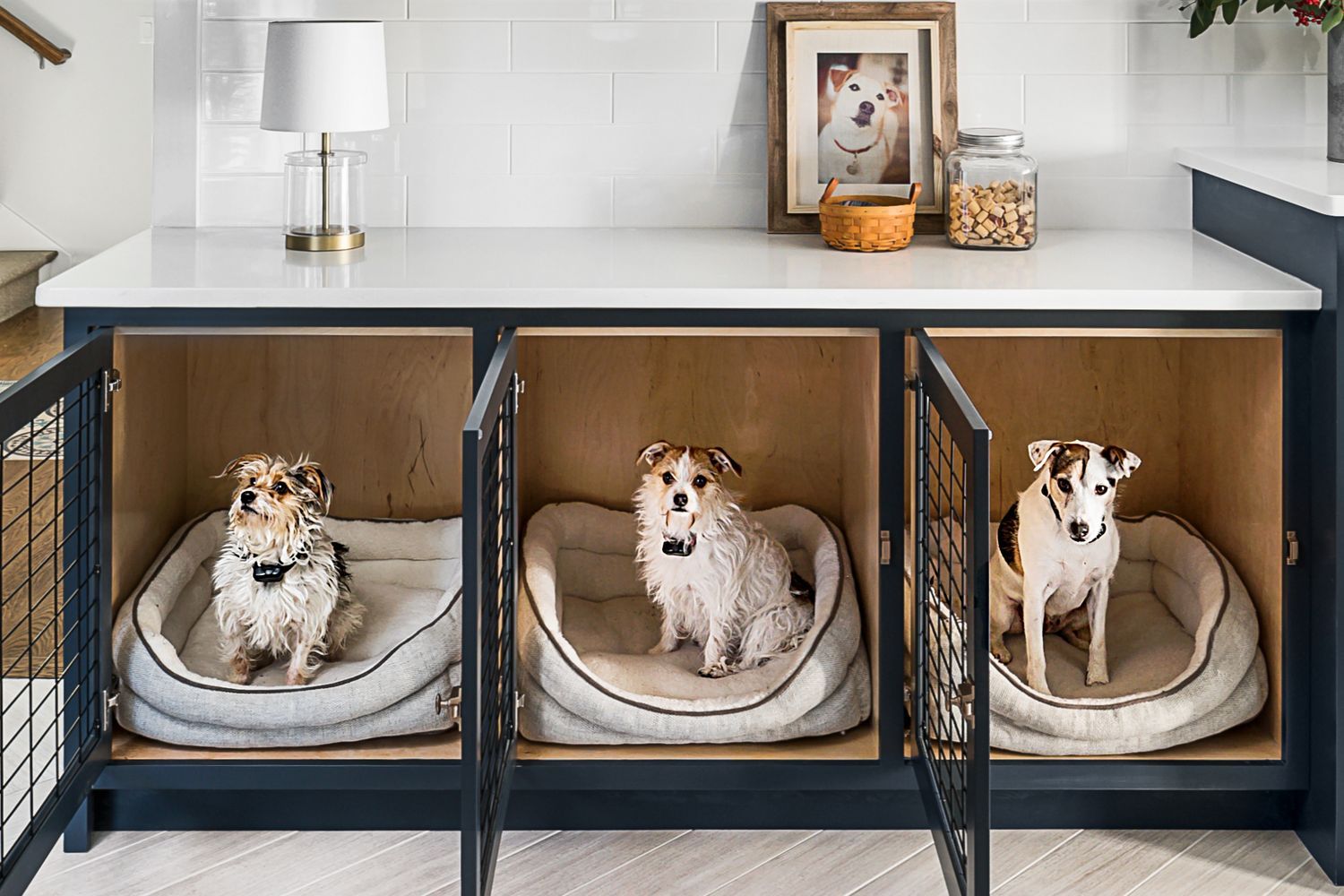 Animal_House_M_House_Dog_Crates_1_tout