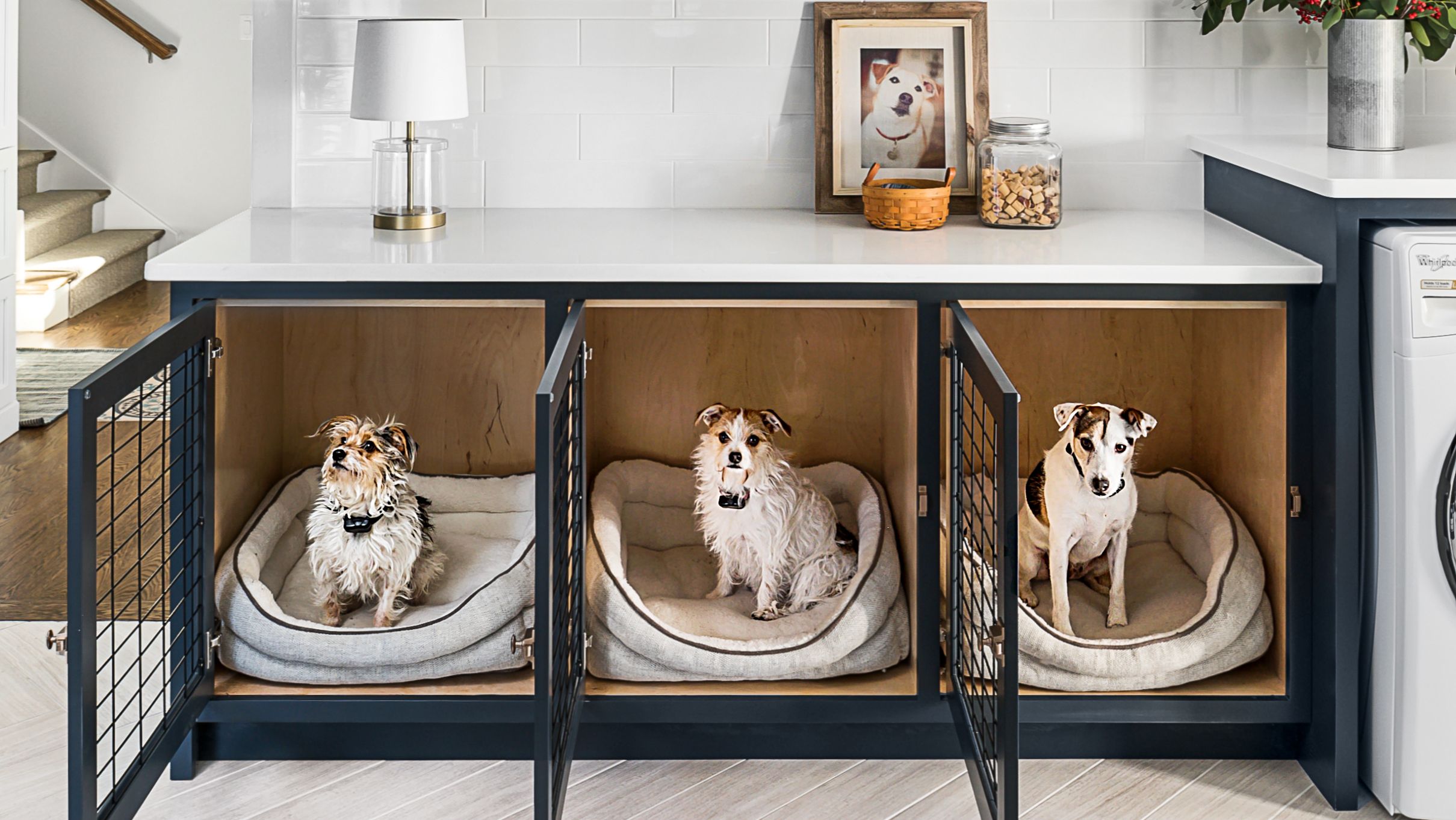 4 Innovative Features to Look for in Modern Dog Crates