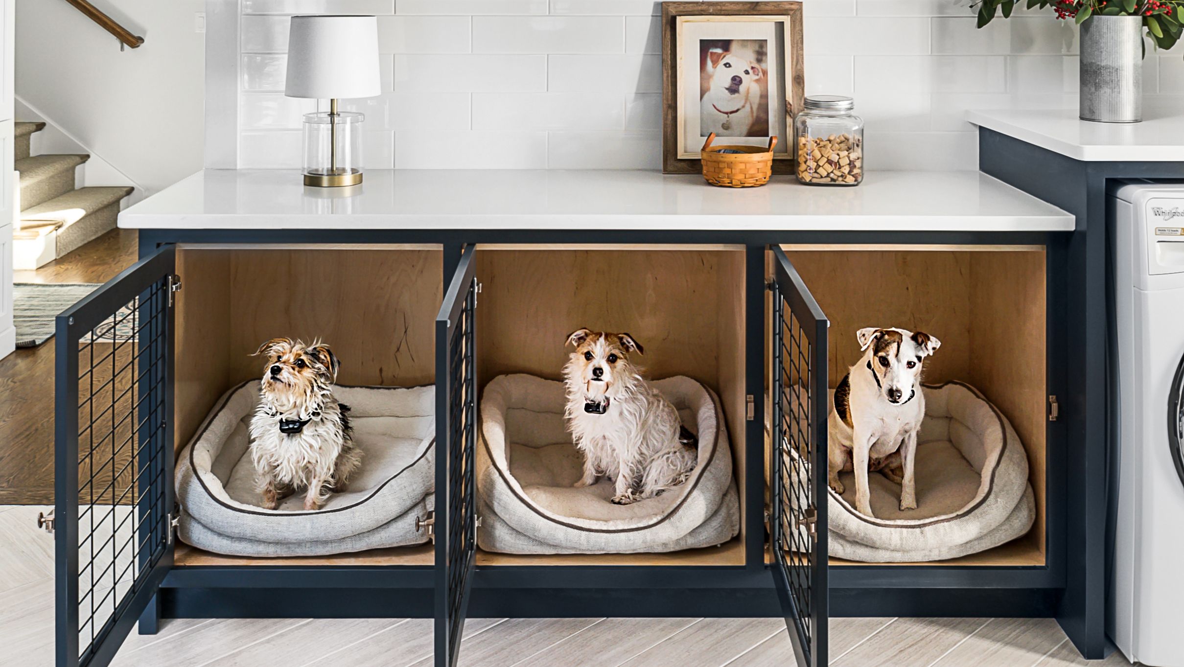 Making Your Dog's Crate Feel Like Home