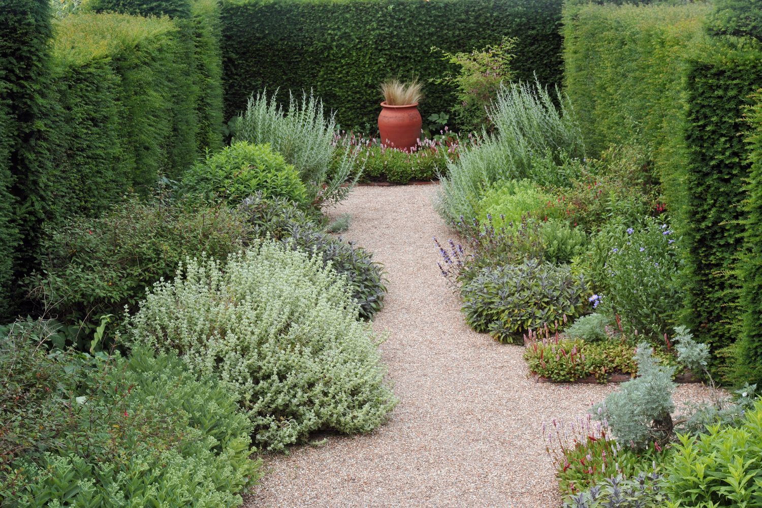 a gravel walkway and surrounding bushes