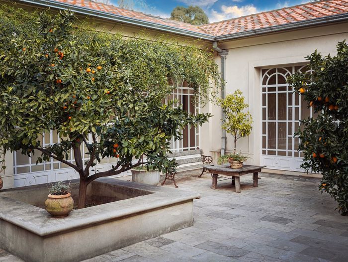 Citrus trees growing on patio