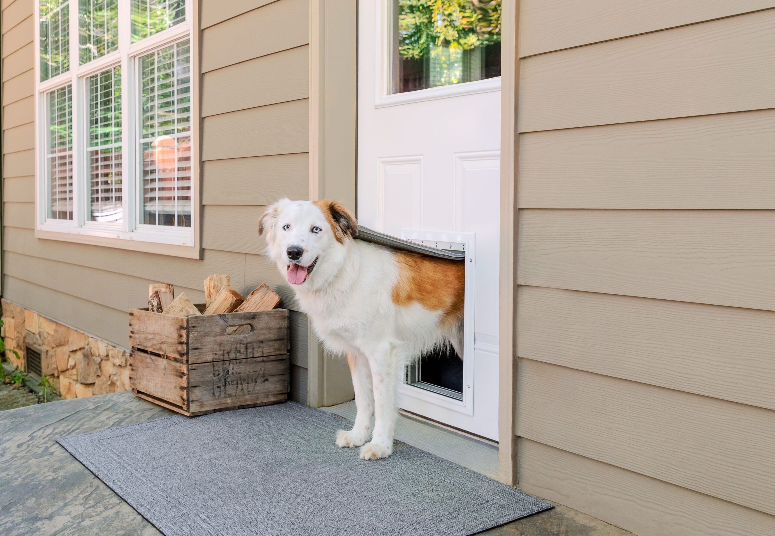 how much does it cost to install a dog door in glass