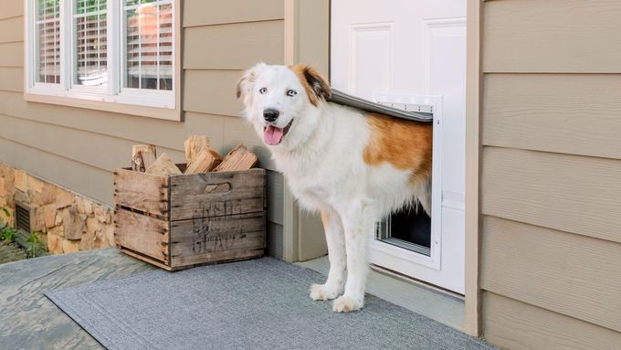 All_About_Dog_Doors_Extreme_Weather_Aluminum_Pet_Door_L_LS_Bear_tout