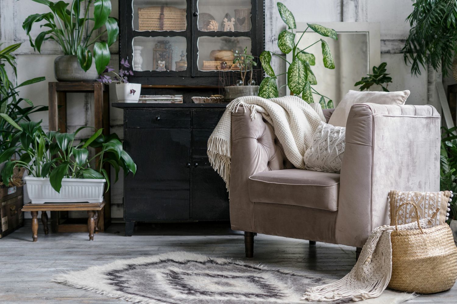 A sitting room with several low light plants