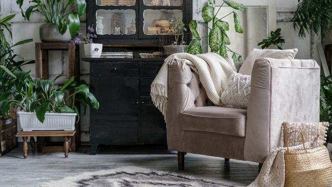 A sitting room with several low light plants