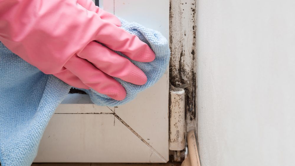 A person using a rag to clean mold from a door.