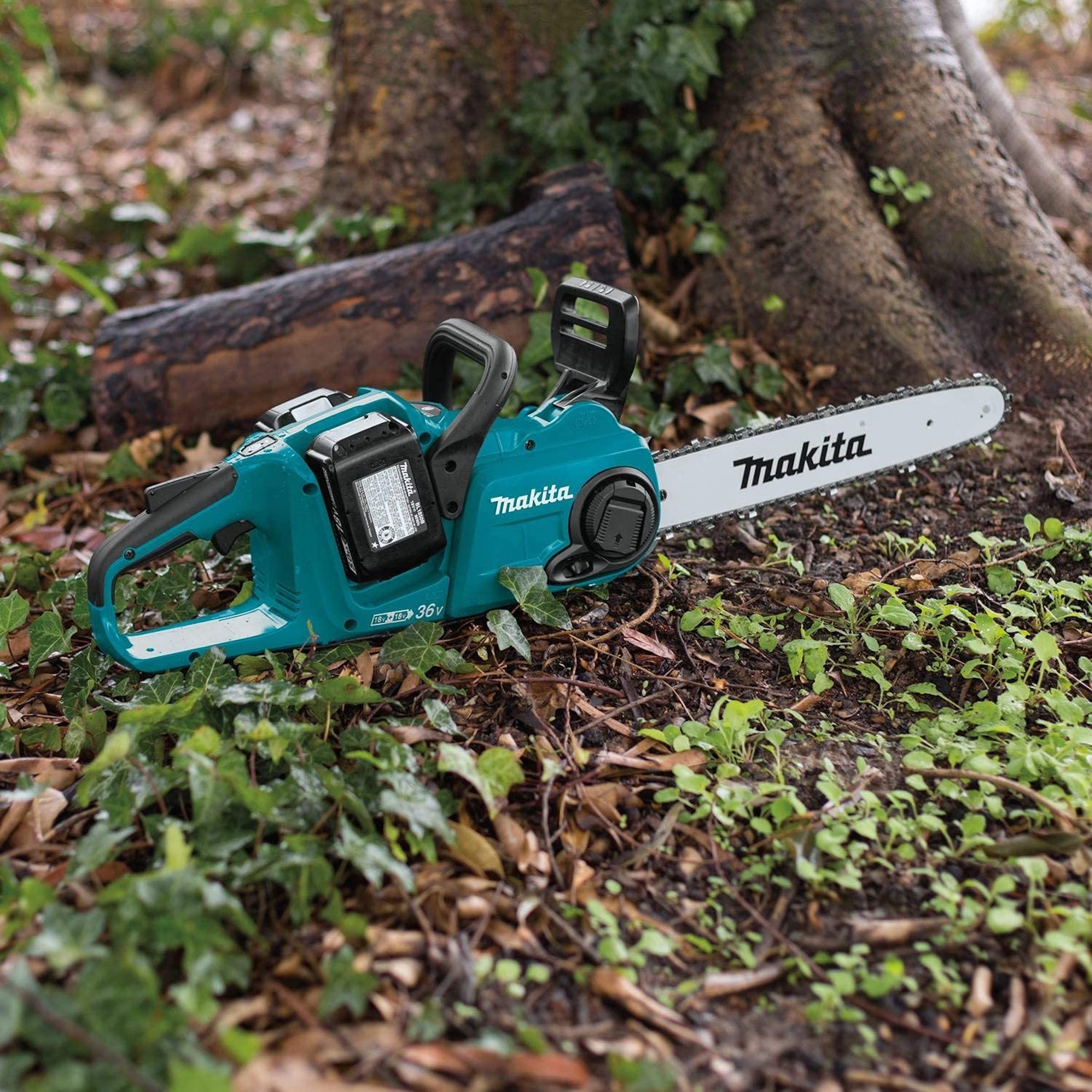 The 5 Best Battery Chainsaws