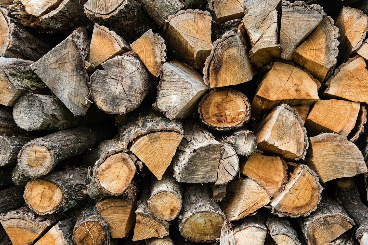 WoodWeb_iStock_1135186150