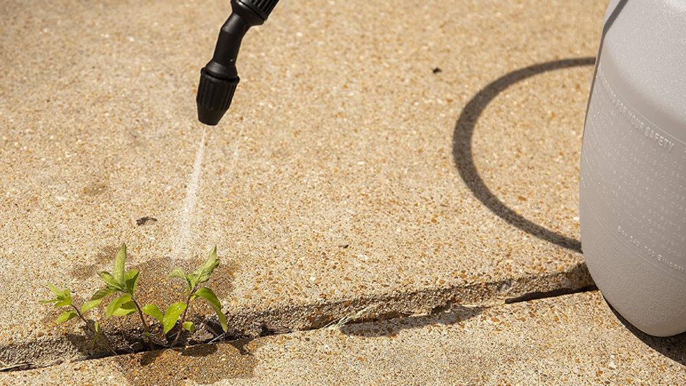 Image of an herbicide being sprayed onto a weed in a sidewalk crevice. Cover image for This Old House's Best Weed Killer Guide and Product Review.
