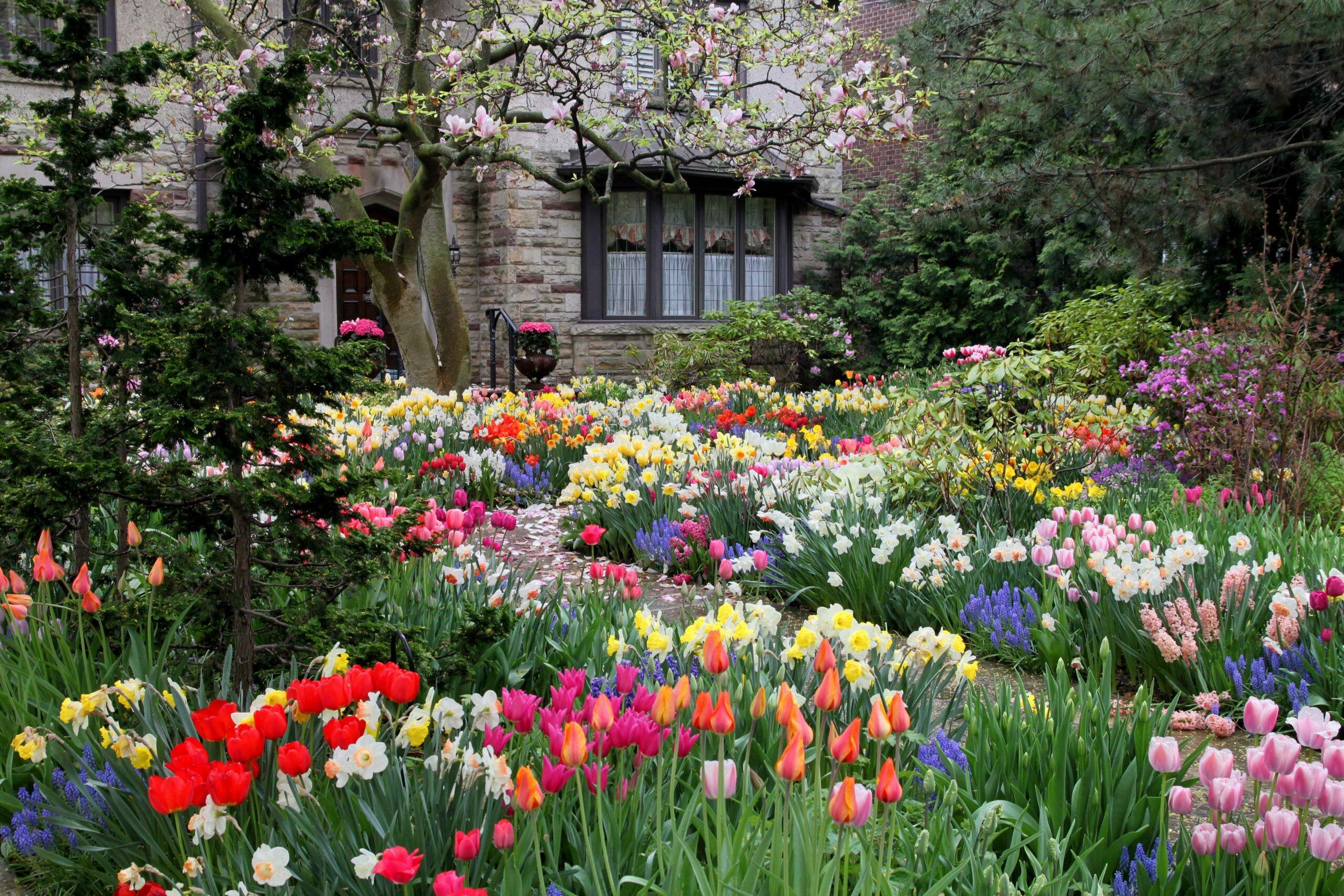 A pathway surrounded by spring bulbs and plants.