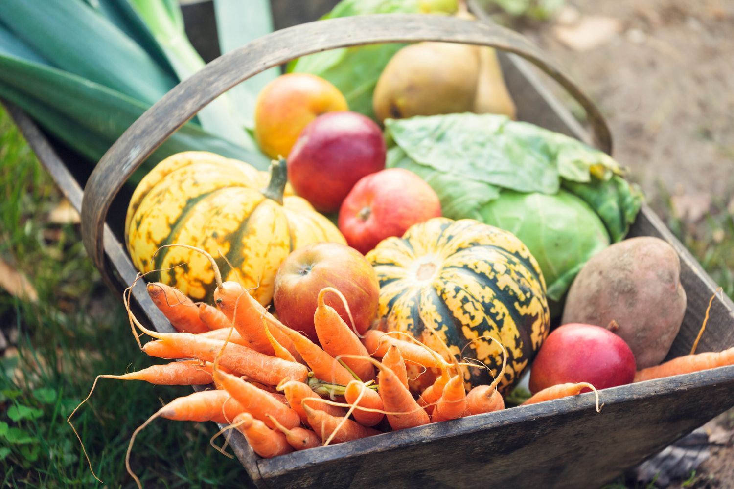 A harvest from a fall garden in a basket.