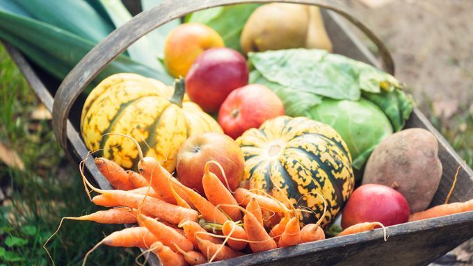 A harvest from a fall garden in a basket.