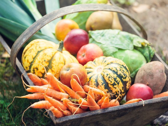 A harvest from a fall garden in a basket.