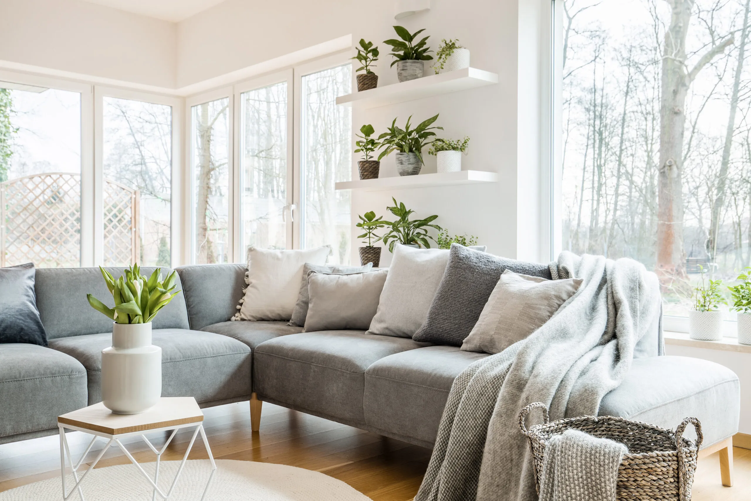 ThrowPillows_iStock_951950894