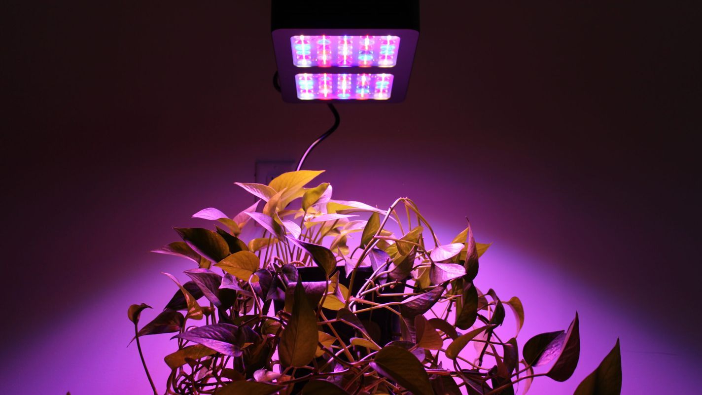 Lead image for Best LED Grow Lights guide