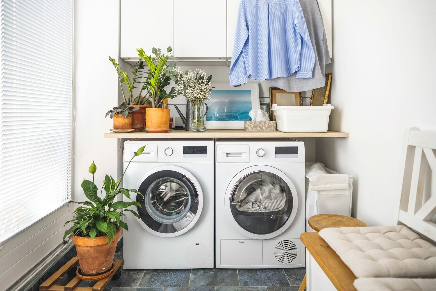 A washing and drying machine with potted plants on top of it.