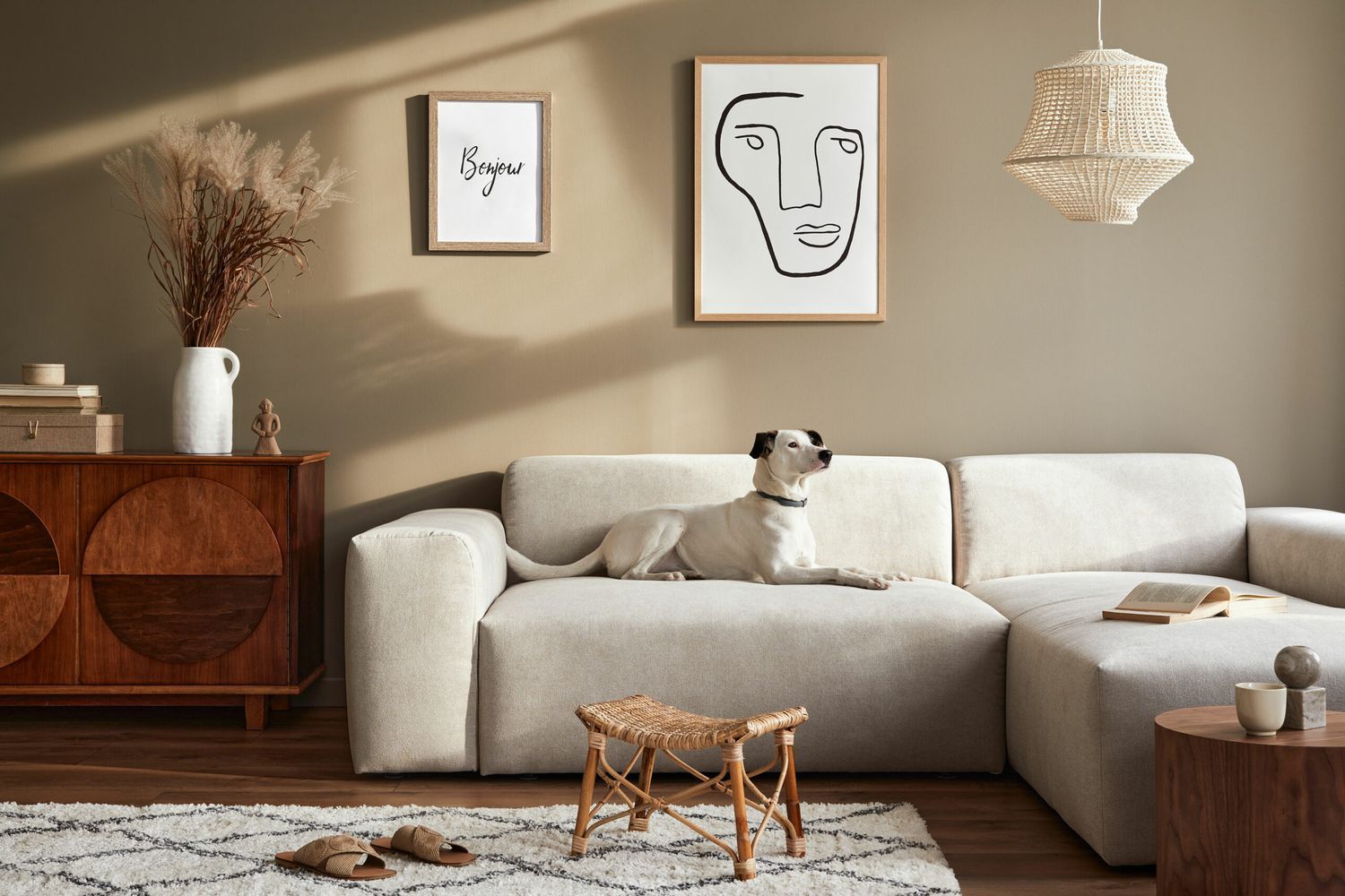 Dog_iStock_1302419562