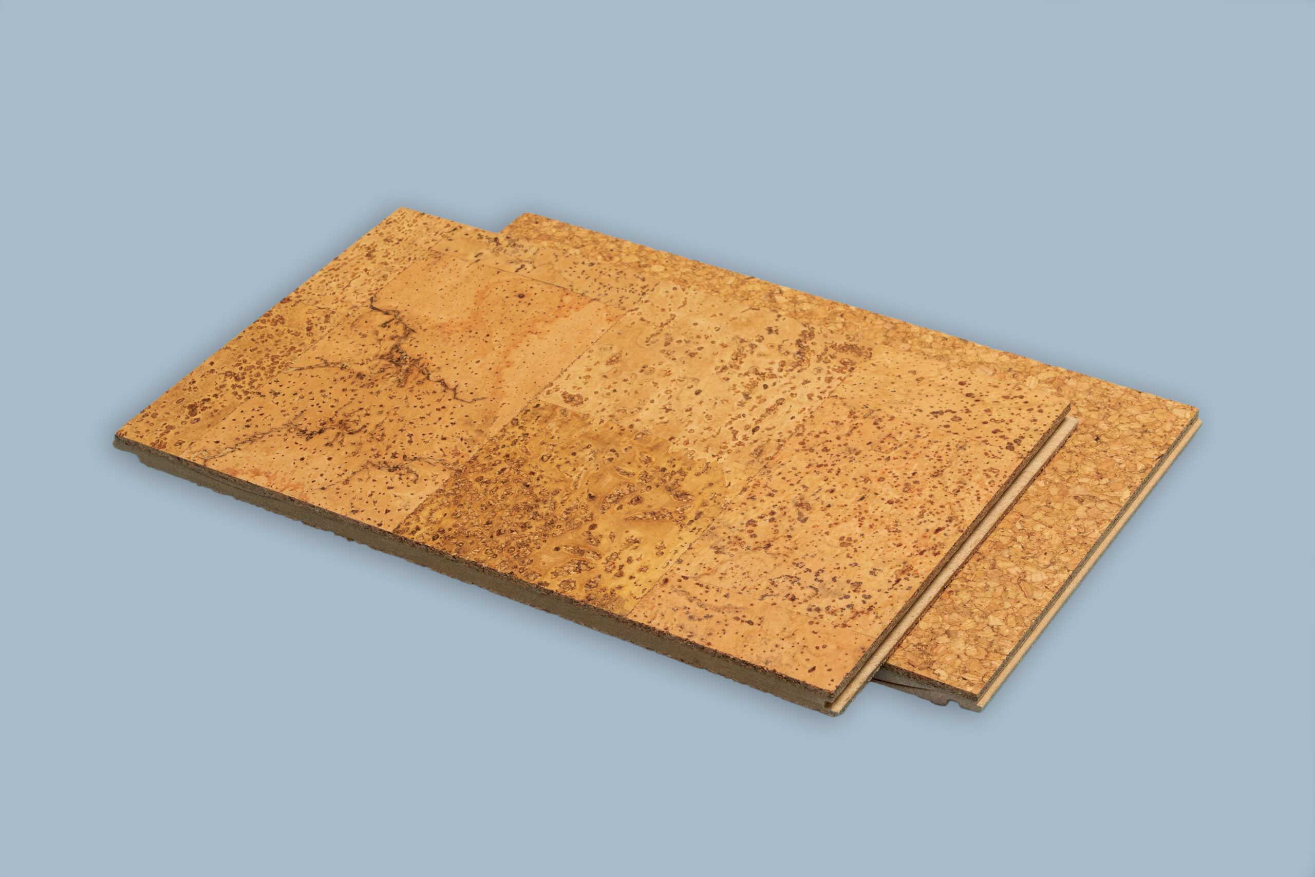 Cork Flooring Australia: Cost, Tiles Options, Cork Floor Pros & Cons