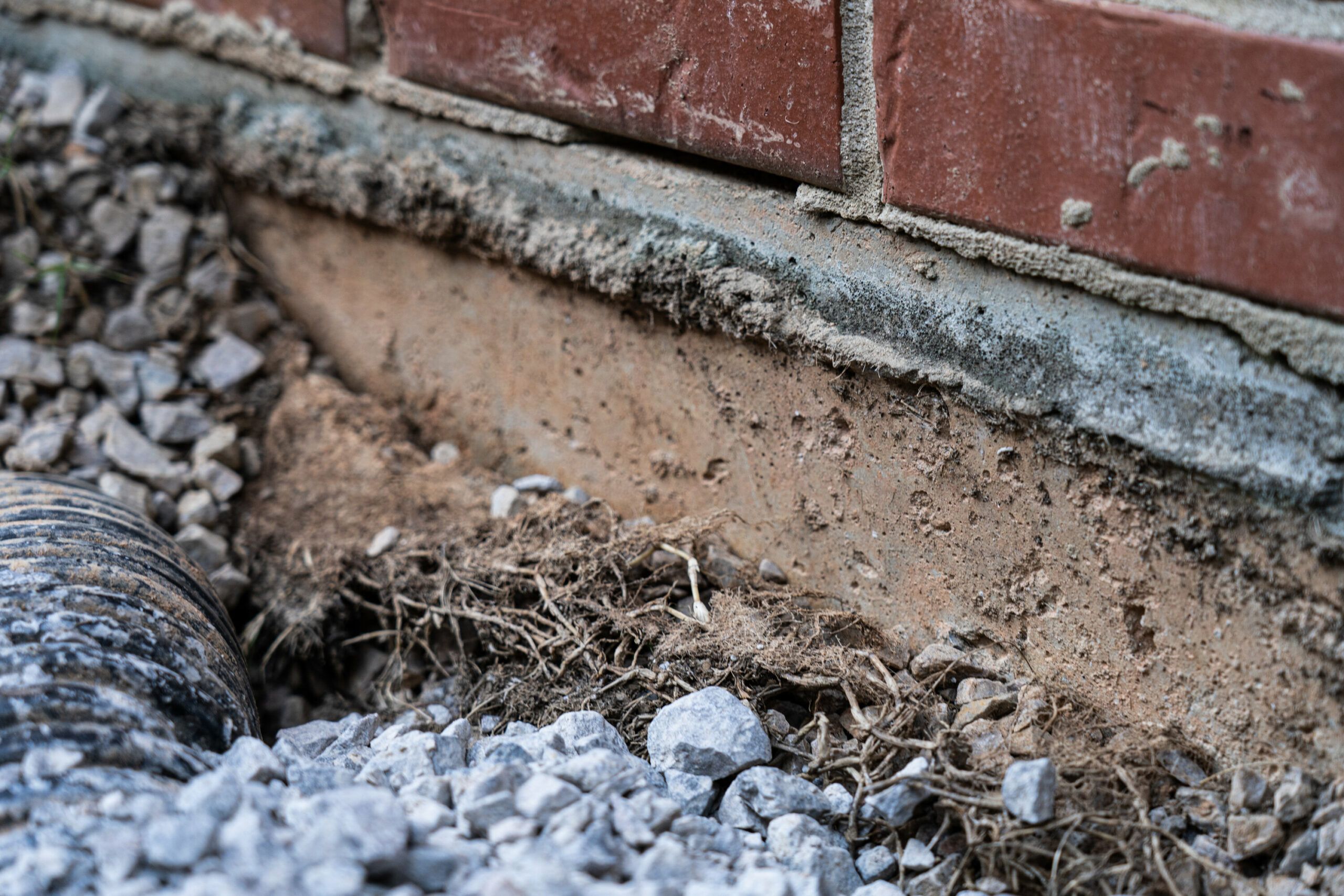 rsz_adobestock_299196506