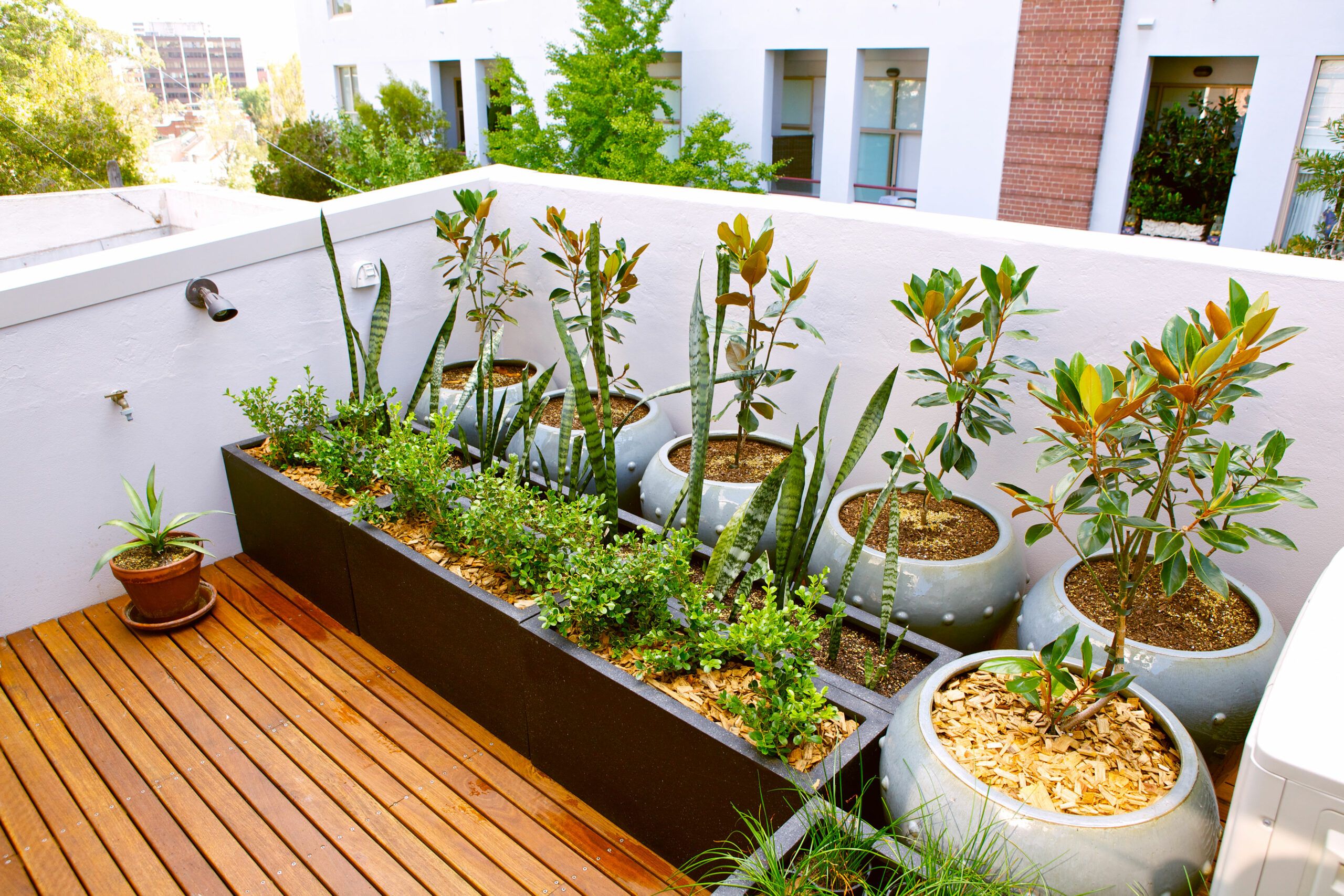 Image of plants on a balcony, which is a great way to transform the look of your balcony