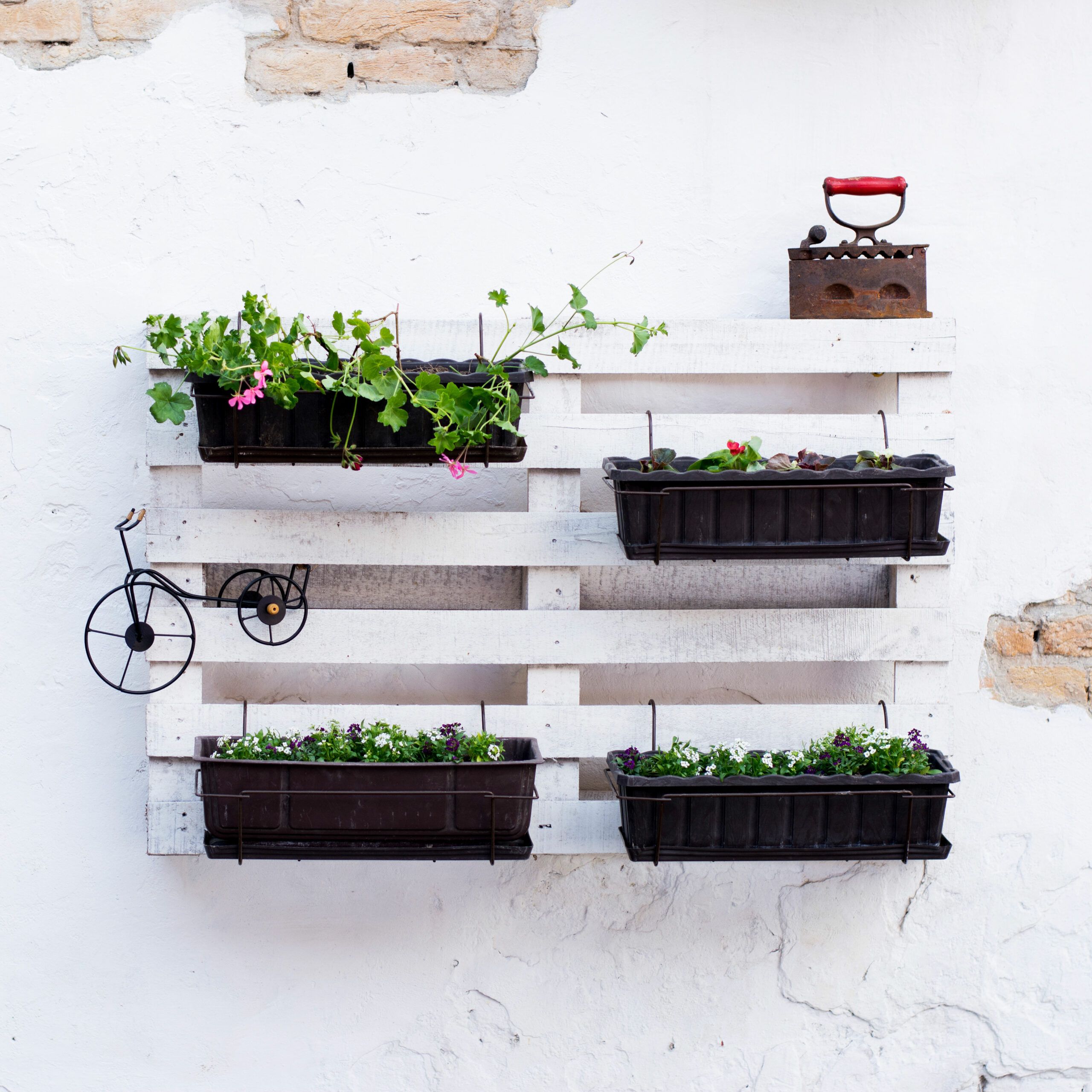 Image of a pallet wall garden on the wall of a balcony, which is a great way to transform the look of your balcony